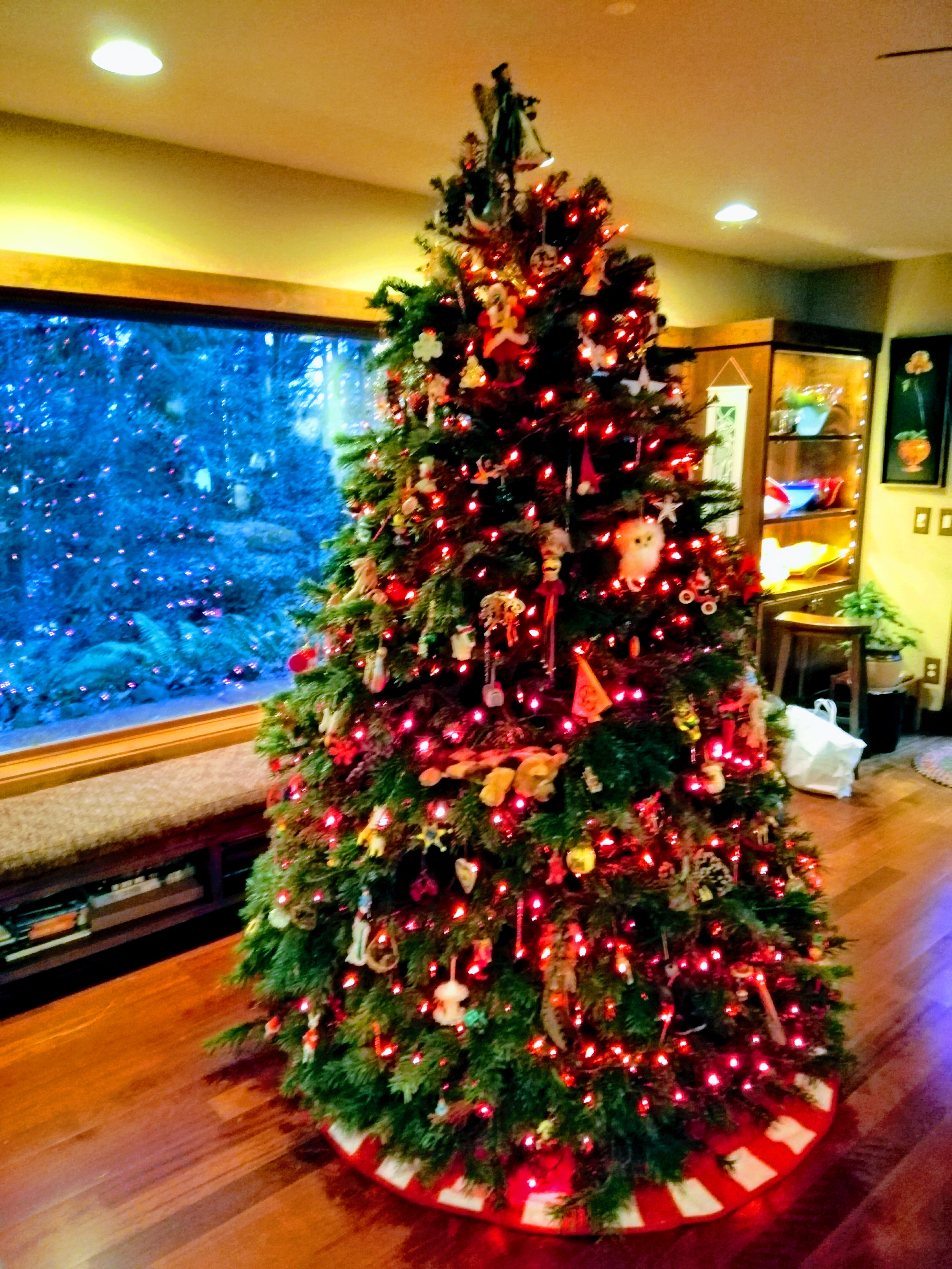 Betty’s Tree Party