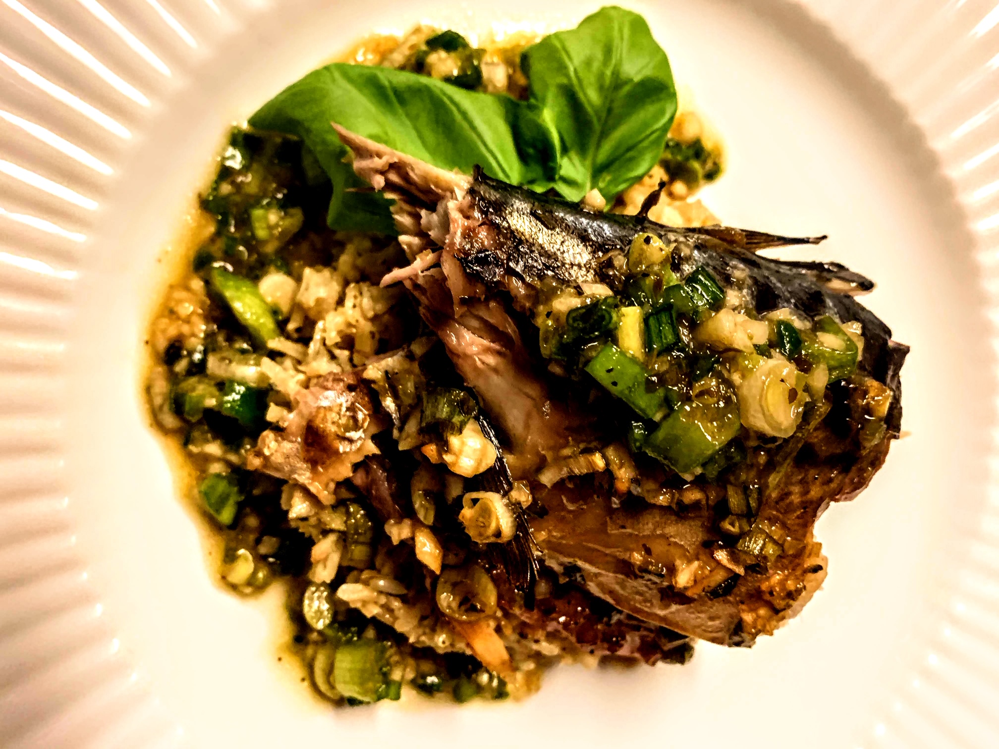 The Mackerel’s Happy Accident